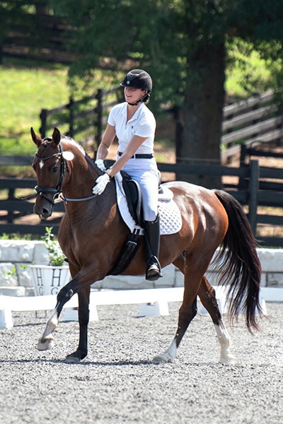 dressage training