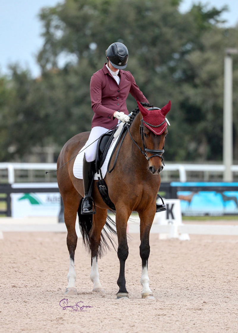 dressage training